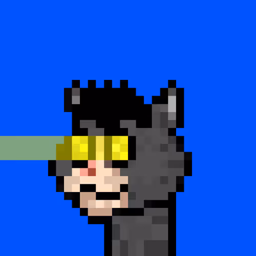 Puncats