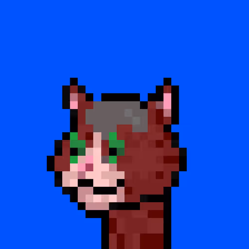Puncats