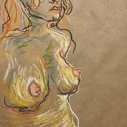 241