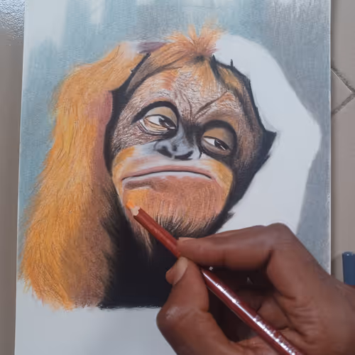 Orangutan 685178521