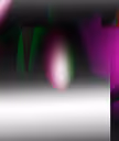 circulo