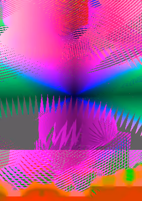 caminata3