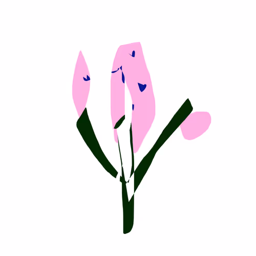 otras flores3