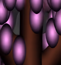 sola3
