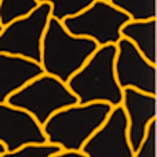 Pumpkin (2) by Yayoi Kusama #5233