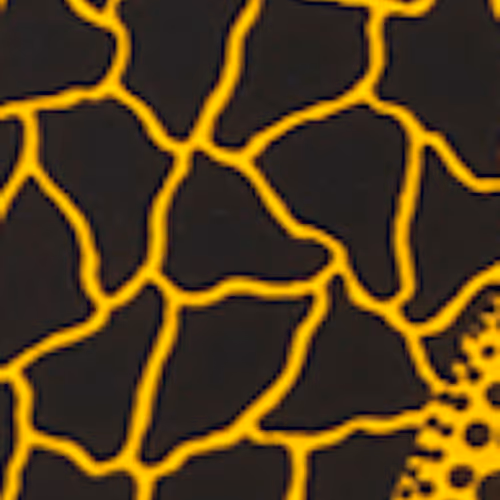 Art Shards Pumpkin By Yayoi Kusama