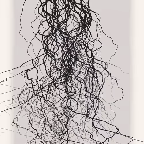 Roots Signal