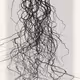 Roots Signal