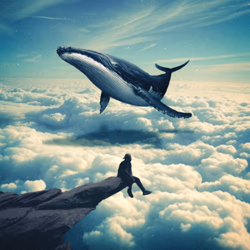 The Ocean Of The Sky