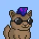 6000