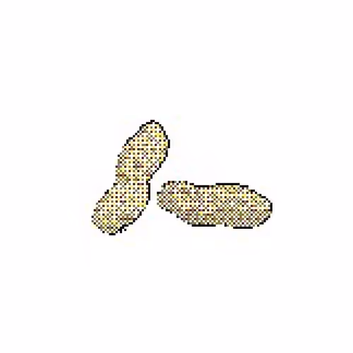 Item #30 Media