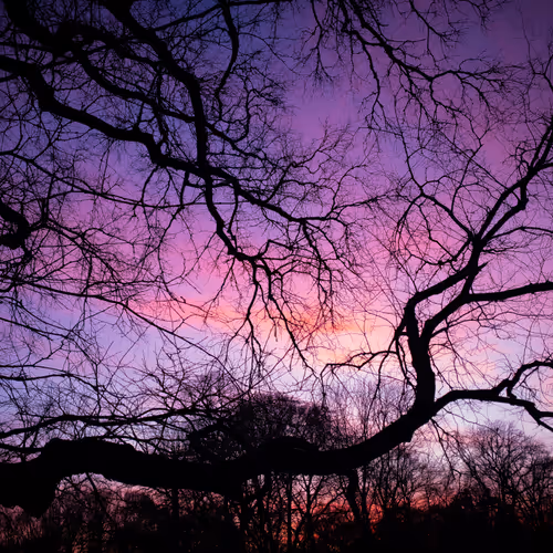 Scattered Sky