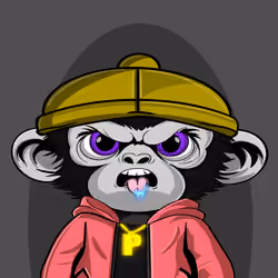 APE PARADIGM #364