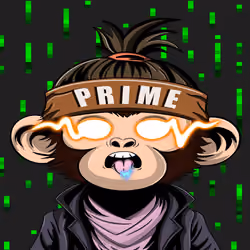 APE PARADIGM #498