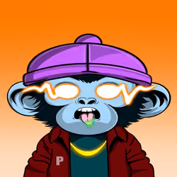 APE PARADIGM #212