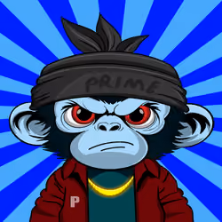 APE PARADIGM #455