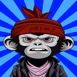 APE PARADIGM #271