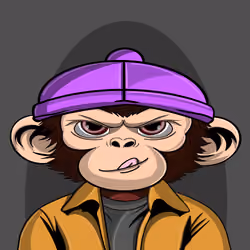 APE PARADIGM #775