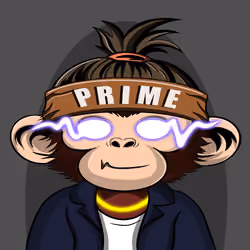APE PARADIGM #55