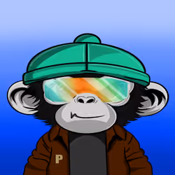 APE PARADIGM #241