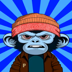 APE PARADIGM #625