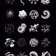 abyssal morphology