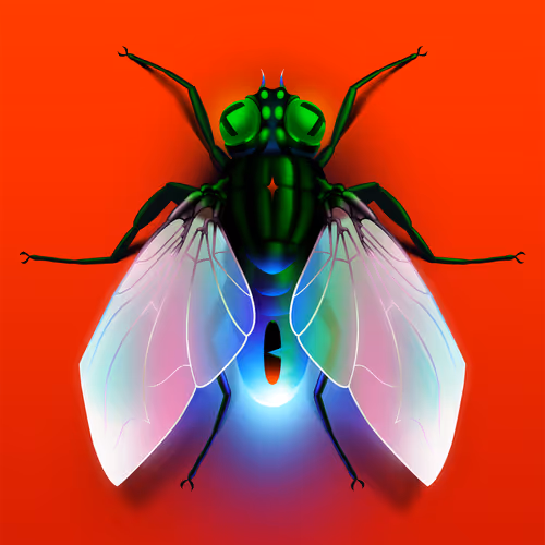 Open Editions - Luuk Vermeyden