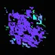 Blockpy#6037