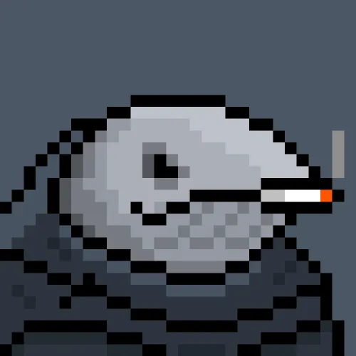 WhiteWhales #1050