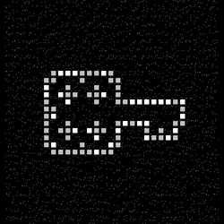 55