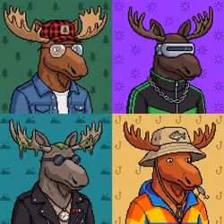 Prereveal Moosies NFT