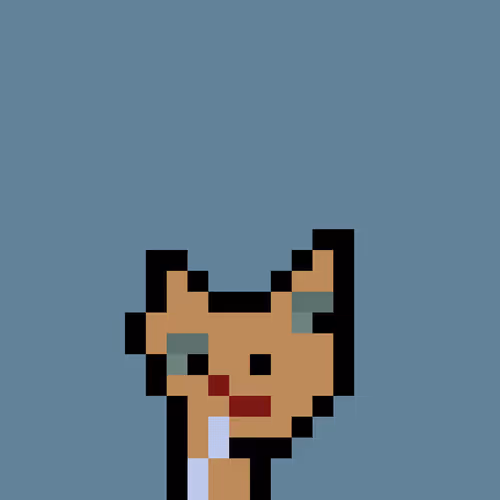 Pnuks 1