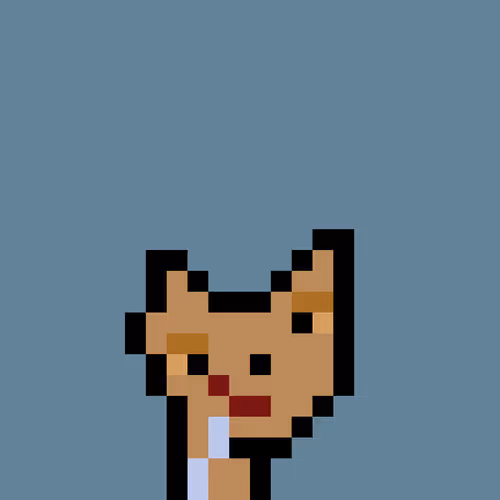 Pnuks 1