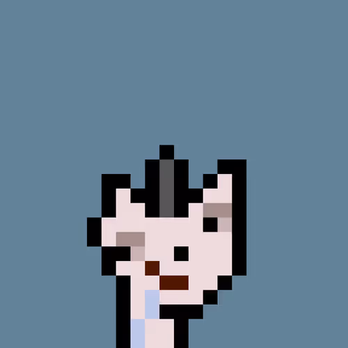 Pnuks 1