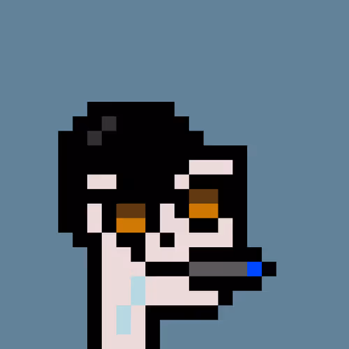 Pnuks 1