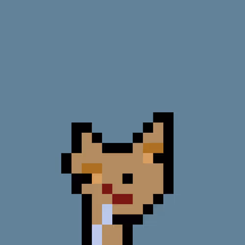 Pnuks 1