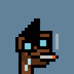 PNUKS #7294