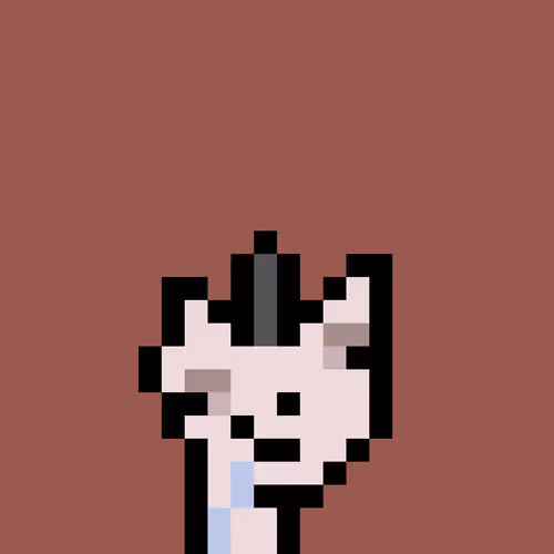 Pnuks 1