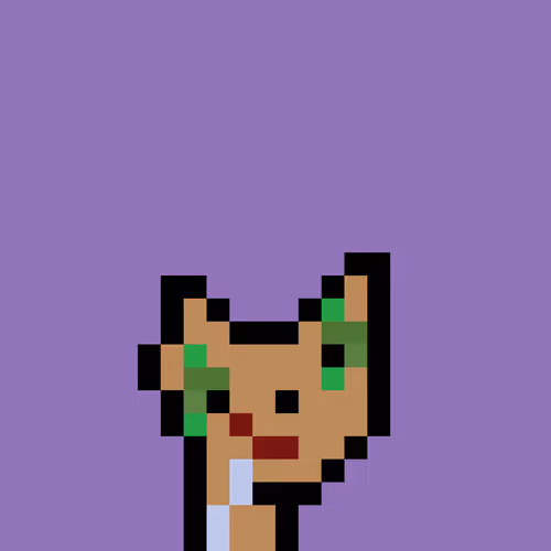 Pnuks 1