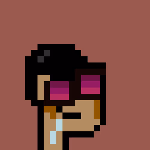 Pnuks 1