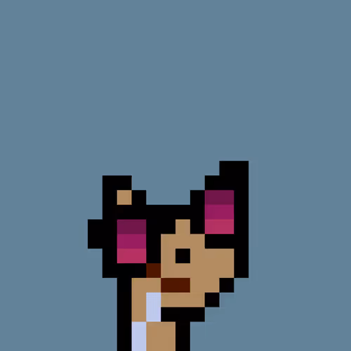 Pnuks 1