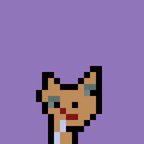 Pnuks 1