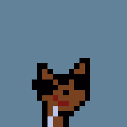Pnuks 1