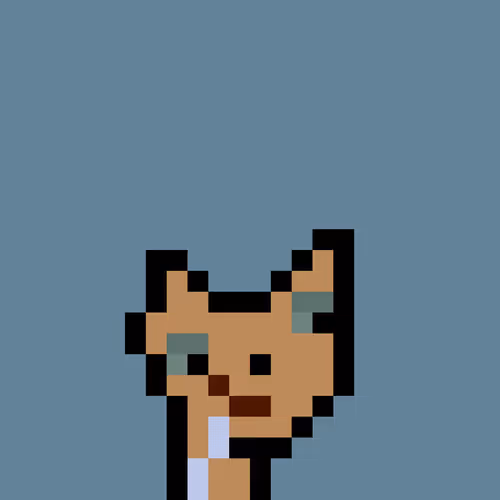 Pnuks 1
