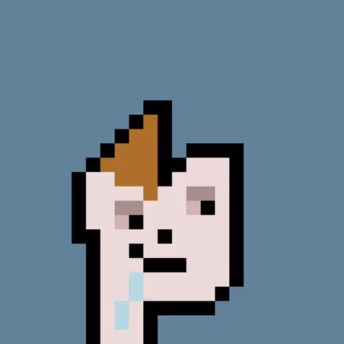Pnuks 1