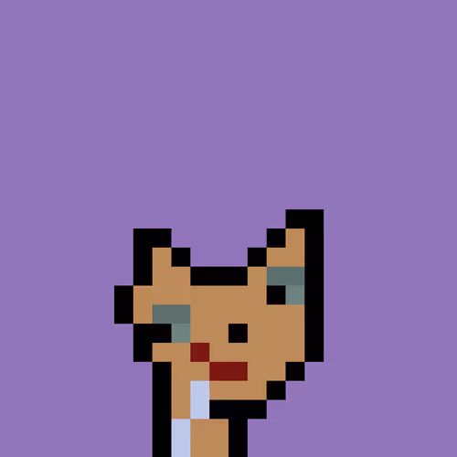 Pnuks 1