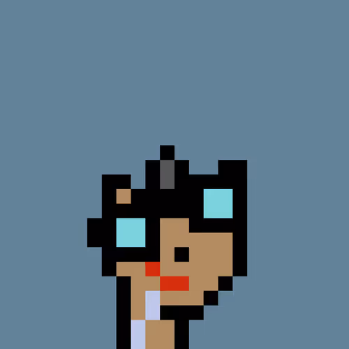 Pnuks 1