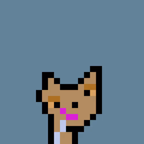 Pnuks 1