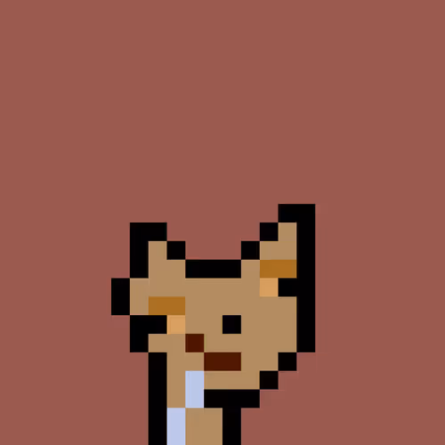 Pnuks 1