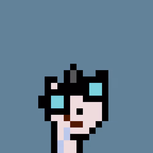 Pnuks 1